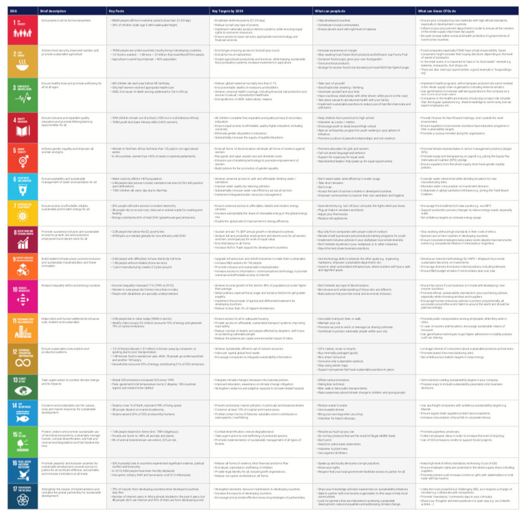 SDGs Summary GreenCFOs